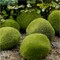 30pcs Artificial Moss Rocks Decorative Faux Green Moss Covered Stones